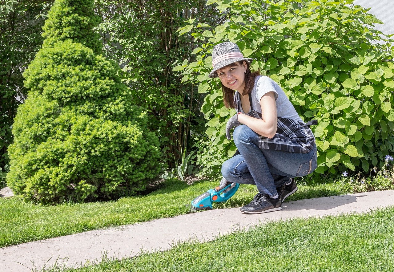 Turn Your Backyard into a Nature's Retreat